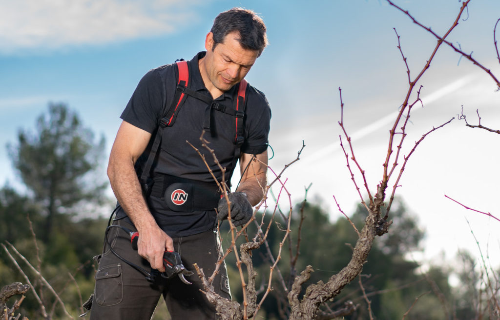 Le Vigneron du mois