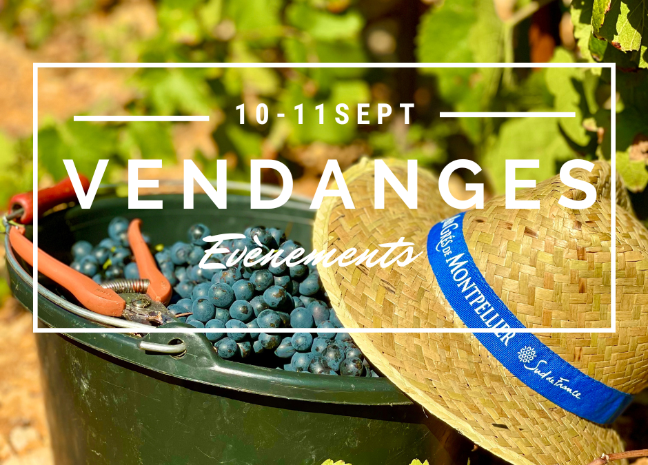 Évènements « Vendanges » 2022, Grés de Montpellier