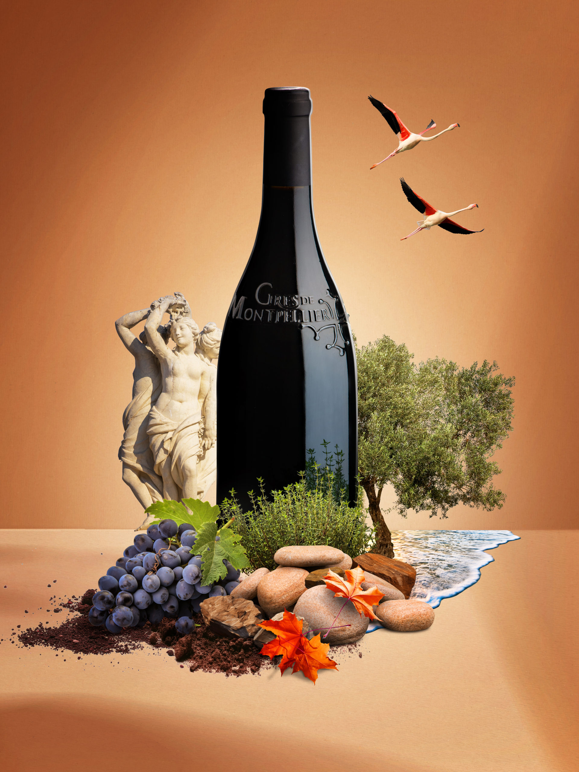 New AOC wine in Languedoc, south of France