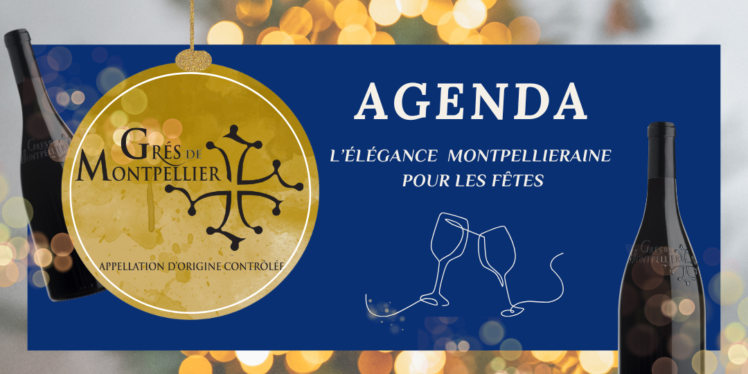 🎇Nos vignerons vous ouvrent leurs portes pour les fêtes🎇