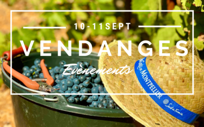 Évènements « Vendanges » 2022, Grés de Montpellier