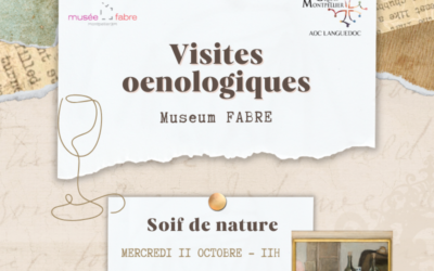 Visites oenologiques