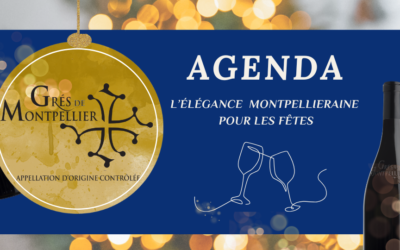 🎇Nos vignerons vous ouvrent leurs portes pour les fêtes🎇