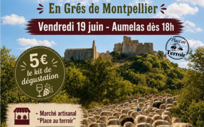 Fête de la Transhumance 2026